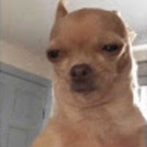 Meet your Posher, Jaden